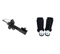 Amortisseur + Cache-amortisseur MAXGEAR pour OPEL SIGNUM, VECTRA C, VECTRA