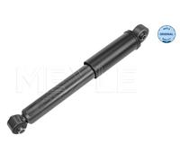Amortisseur D'Axe Arrière Pour ABARTH FIAT FORD 500 500 C 500C / 595C / 69