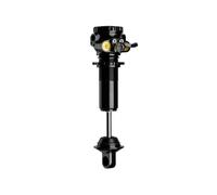 Amortisseur Db Coil-Il G2 - Trunnion - Factory Tune 165x40Mm 421640315 Cane C