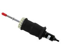 Amortisseur de cabine 350 338 SACHS