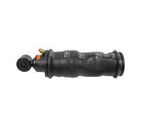 Amortisseur de cabine DT Spare Parts 1.25972 avec coussin d'air, D1: 44 mm