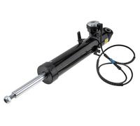 Amortisseur De Choc Arrière Pour BMW X5 F15 13-, X6 F16 14- Gauche, +VDC