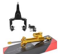 Amortisseur de Direction Kit de support d'amortisseur de direction pour moto Convient pour Kawasaki Ninja 400 Z400 2018-2024 Stabilisateur de Direction(A13)