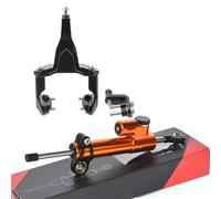 Amortisseur de Direction Kit de support d'amortisseur de direction pour moto Convient pour Kawasaki Ninja 400 Z400 2018-2024 Stabilisateur de Direction(A15)