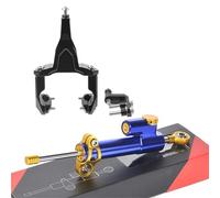 Amortisseur de Direction Kit de support d'amortisseur de direction pour moto Convient pour Kawasaki Ninja 400 Z400 2018-2024 Stabilisateur de Direction(A16)