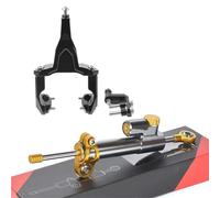 Amortisseur de Direction Kit de support d'amortisseur de direction pour moto Convient pour Kawasaki Ninja 400 Z400 2018-2024 Stabilisateur de Direction(A12)