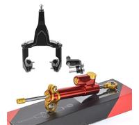 Amortisseur de Direction Kit de support d'amortisseur de direction pour moto Convient pour Kawasaki Ninja 400 Z400 2018-2024 Stabilisateur de Direction(A20)