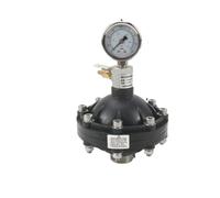 Amortisseur de pulsation à diaphragme UPVC, 1 pièce, tampon de pulsation, tampon de pression, réservoir, amortisseur de pulsation à diaphragme(DN25capacity1.0L)