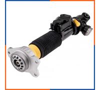 Amortisseur de suspension arrière droite pour BMW | 442400319056