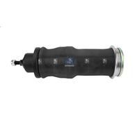 Amortisseur de suspension de cabine DT SPARE PARTS 1.25698 pour T 11.705 2004-