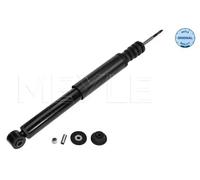 Amortisseur Essieu arrière Bossage en bas 16-26 725 0009 MEYLE pour RENAULT