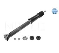 Amortisseur Essieu avant Bossage en bas 026 625 0002 MEYLE pour MERCEDES-BENZ