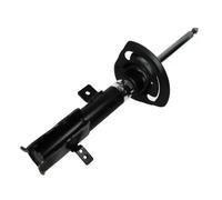 Amortisseur MAGNUM TECHNOLOGY AGY030MT droite