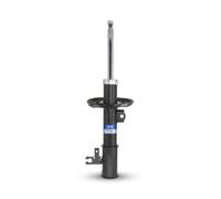 SNR SA65340.19R Amortisseur