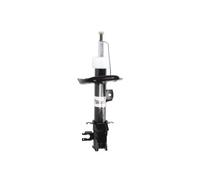 Amortisseur Essieu avant gauche Goujon en haut AGC042MT Magnum Technology