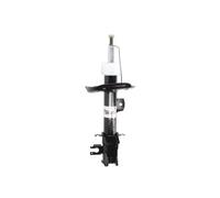 Amortisseur Essieu avant gauche Goujon en haut AGC042MT Magnum Technology