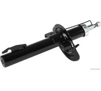 Jeu de 2 amortisseurs avant HERTH+BUSS JAKOPARTS J4300844