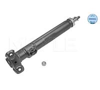 Amortisseur Essieu avant Goujon en haut 026 623 0004 MEYLE pour MERCEDES-BENZ