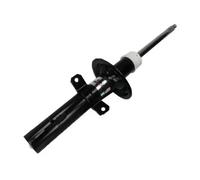 Amortisseur MAGNUM TECHNOLOGY AGG133MT