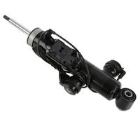Sachs Amortisseur 319 055 pour BMW