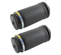Amortisseur Lot 2 Coussins Suspension Pneumatique Arrière Gauche Et Droit Pour Mercedes Pour Benz X164 GL ML 2006-2012 Amortisseur télescopique