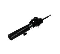 Amortisseur MAGNUM TECHNOLOGY AGB074MT gauche