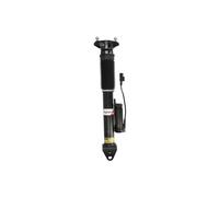 Magnum Technology APM006MT Amortisseur