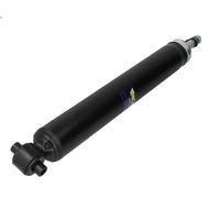 Amortisseur MONROE 25505 pour PEUGEOT 307 (3A/C) 2 2000-2007