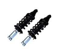 Amortisseur Paire D'amortisseurs Hydrauliques Avant Assys E61001LA7A Pour QX56 QX80 2011-2021 Amortisseurs à Gaz