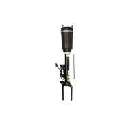 Amortisseur pneumatique avant Pont en haut AS-2463 Arnott pour MERCEDES-BENZ