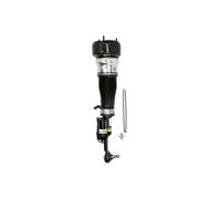 Amortisseur pneumatique ARNOTT EUROPE AS-2547