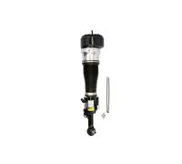 Amortisseur pneumatique ARNOTT EUROPE AS-2548 gauche
