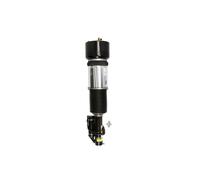 Arnott AS-2605 Amortisseur pneumatique