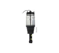 Amortisseur pneumatique ARNOTT EUROPE AS-2762