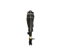 Amortisseur pneumatique ARNOTT EUROPE AS-2796 gauche