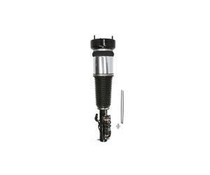 Amortisseur pneumatique ARNOTT EUROPE AS-2820
