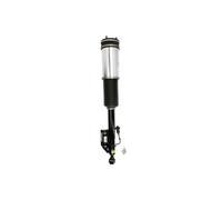 Amortisseur pneumatique ARNOTT EUROPE AS-2884
