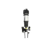 Amortisseur pneumatique ARNOTT EUROPE AS-3000