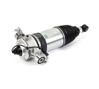 Amortisseur pneumatique ARNOTT EUROPE AS-3166