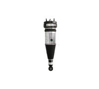 Amortisseur pneumatique ARNOTT EUROPE AS-3234