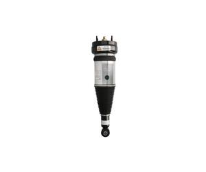 Amortisseur pneumatique ARNOTT EUROPE AS-3234