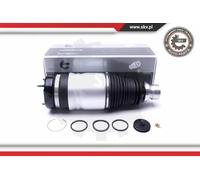 ESEN SKV 58SKV060 Amortisseur pneumatique