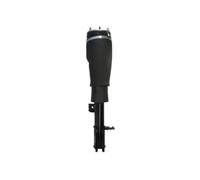 Magnum Amortisseur pneumatique APL017MT avant gauche pour Land Rover