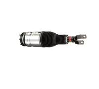 Amortisseur pneumatique avant Pont en haut AS-3017 Arnott pour RAM DODGE