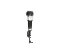 BILSTEIN 44-110475 Amortisseur pneumatique