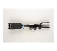 Bilstein B4 Amortisseurs pneumatiques avant individuels pour MB M-CLASS W164 X166 AIRMATIC
