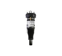 Amortisseur Bilstein B4-45-249907