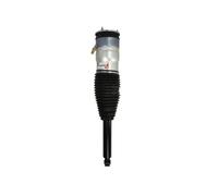 Magnum Technology APQ002MT Amortisseur pneumatique