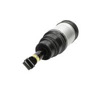 Amortisseur pneumatique Essieu arrière Bossage en bas SAS-10020 KAVO PARTS