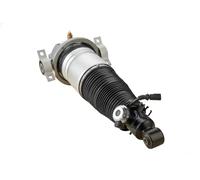 GSP 30900141 Amortisseur pneumatique